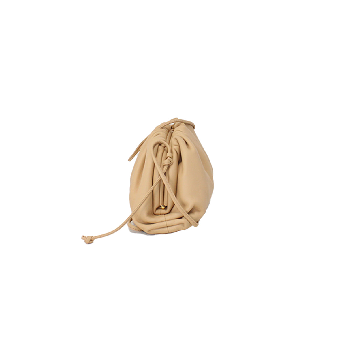 Bottega Veneta Pouch Bag