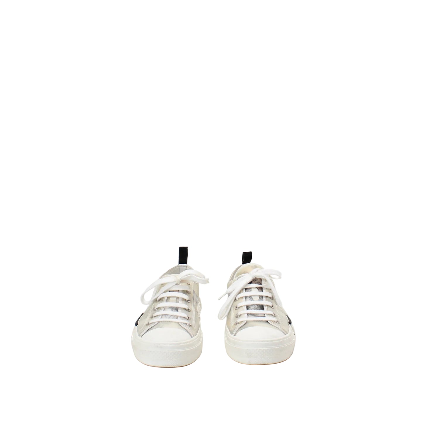 Christian Dior Daniel Ashram X Dior 42