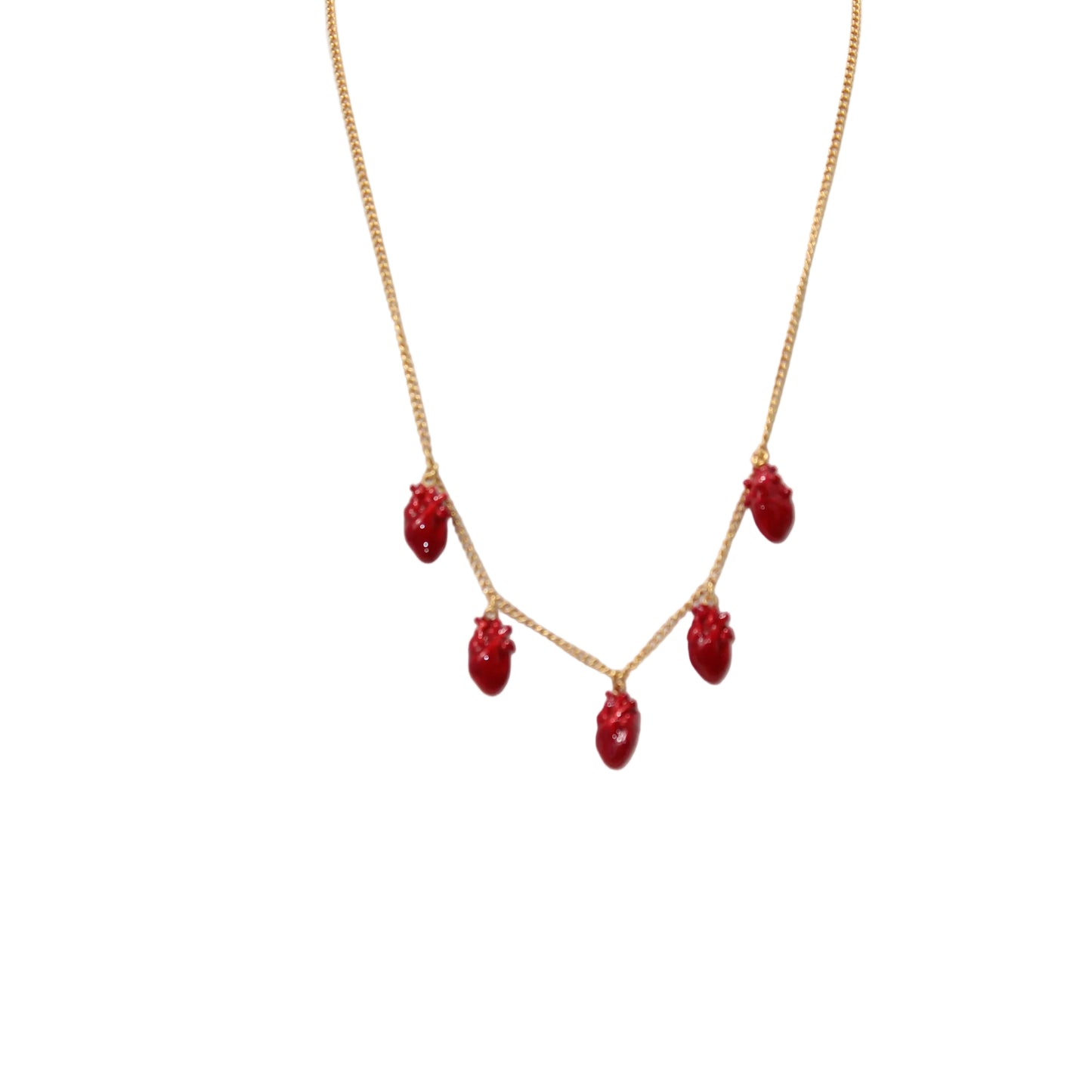 Daniela Salcedo Cadena Anatomik red