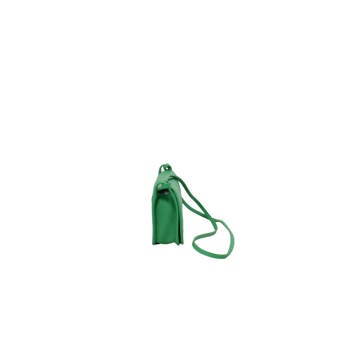 Longchammp Box Trot Bag