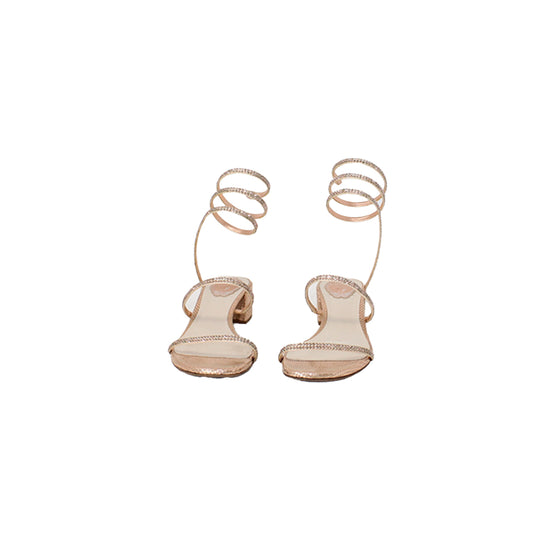 Rene Caovilla Shoes