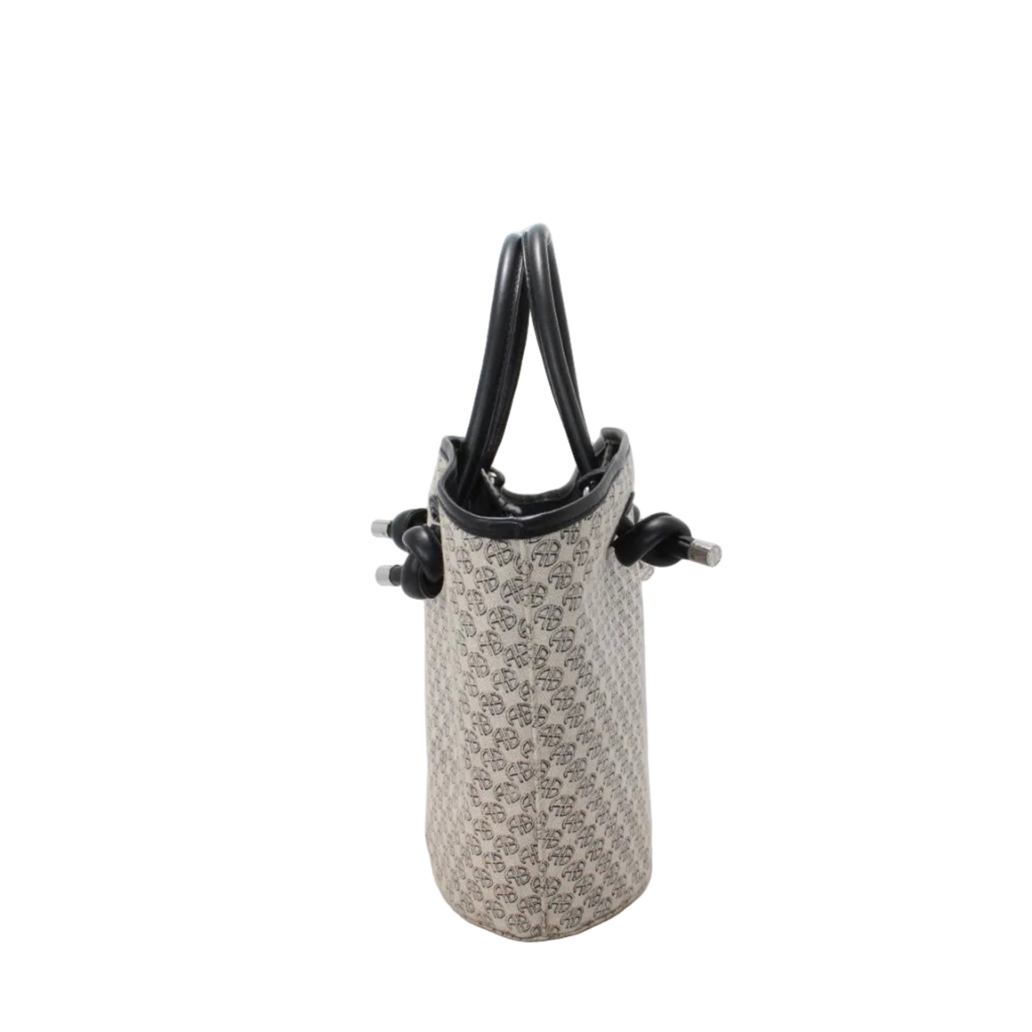 Anine Bing Canvas Bucket Bag   