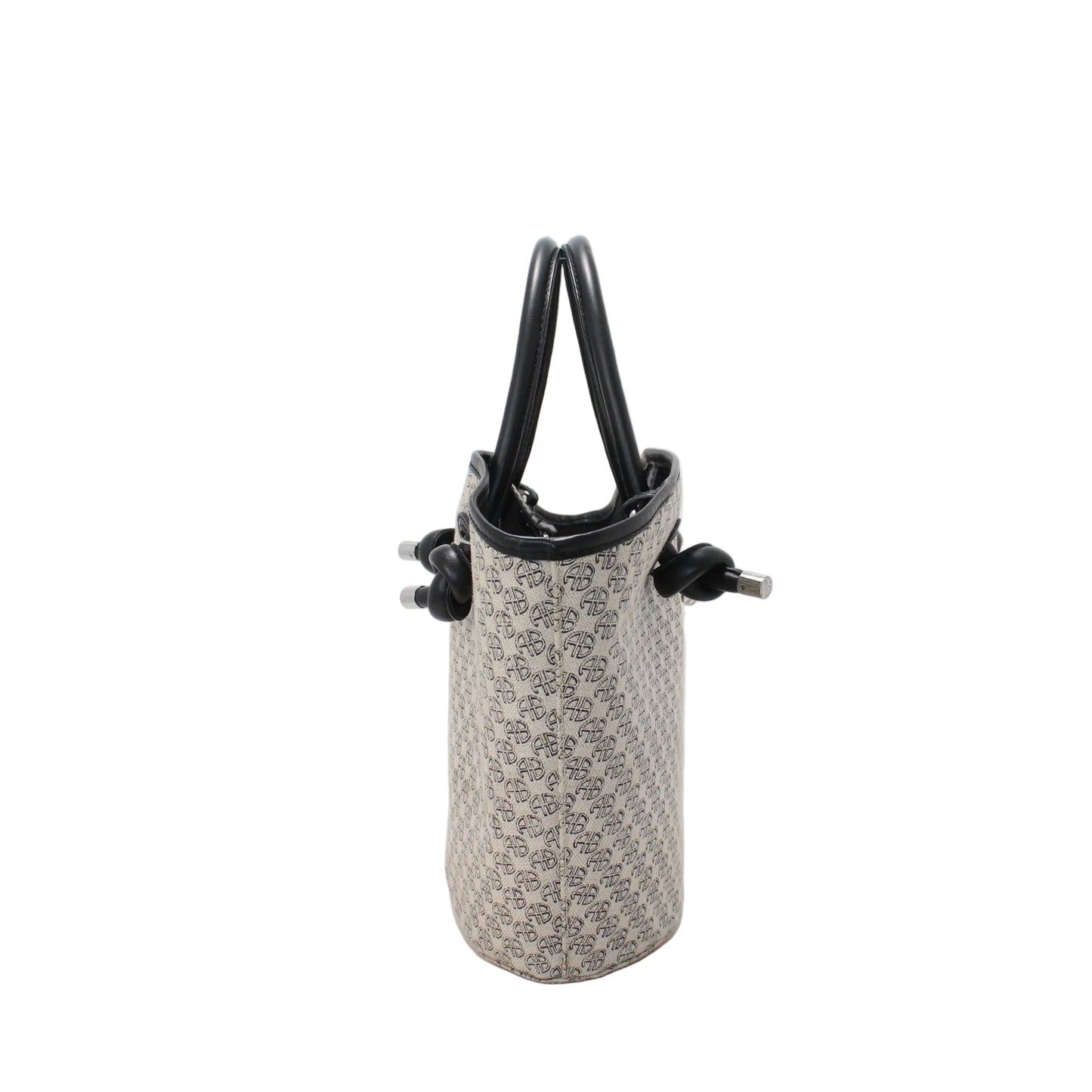 Anine Bing Canvas Bucket Bag   