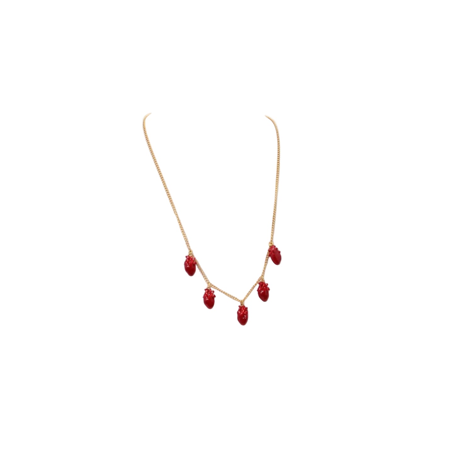 Daniela Salcedo Cadena Anatomik red  