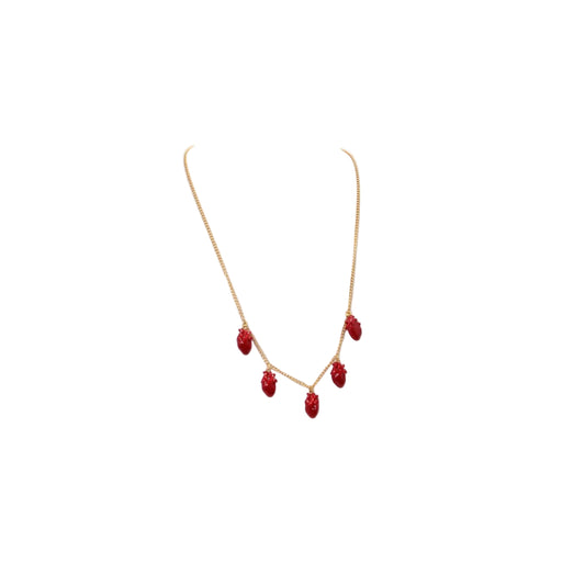 Daniela Salcedo Cadena Anatomik red  