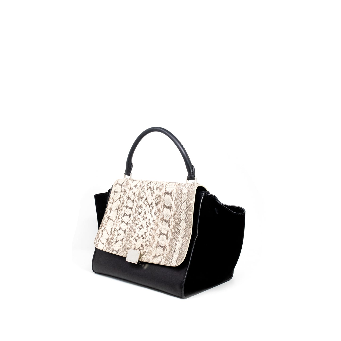 Celine Small Python Trapeze Bag