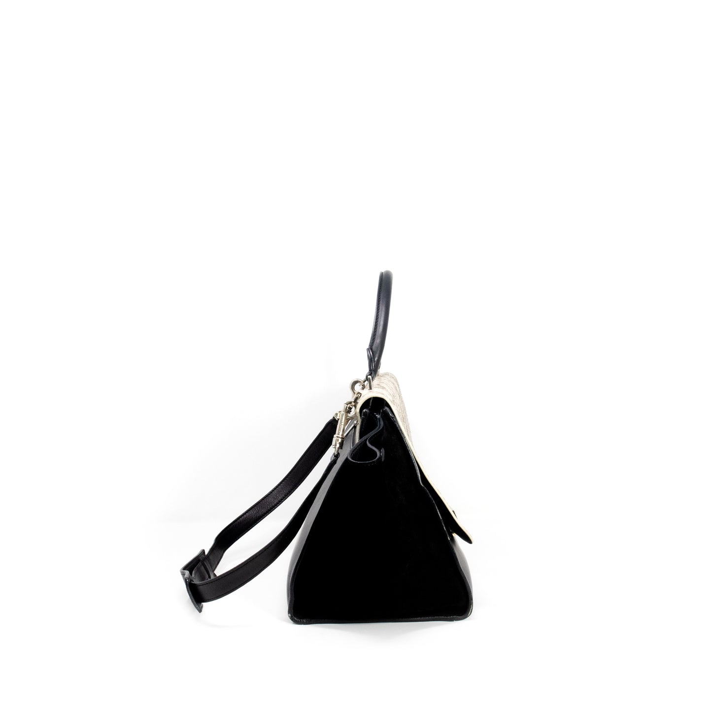 Celine Small Python Trapeze Bag