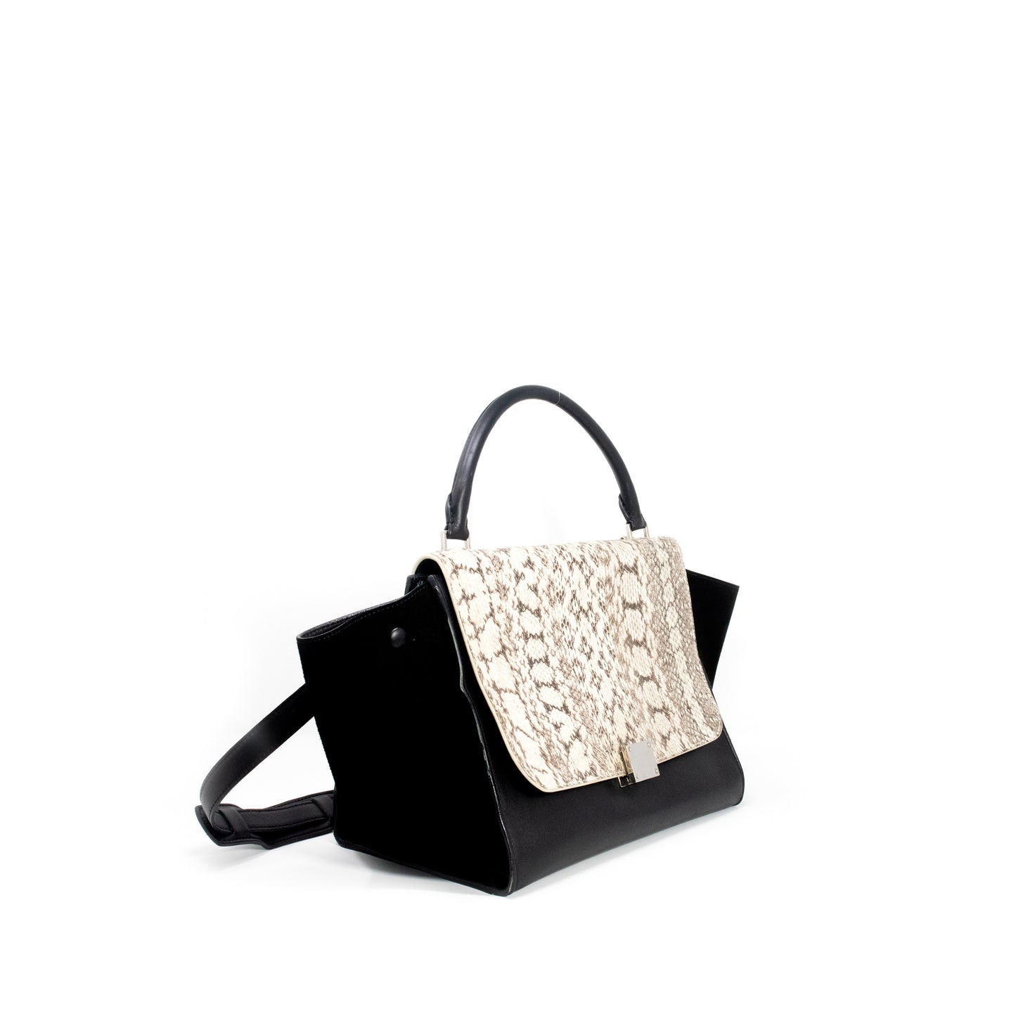 Celine Small Python Trapeze Bag